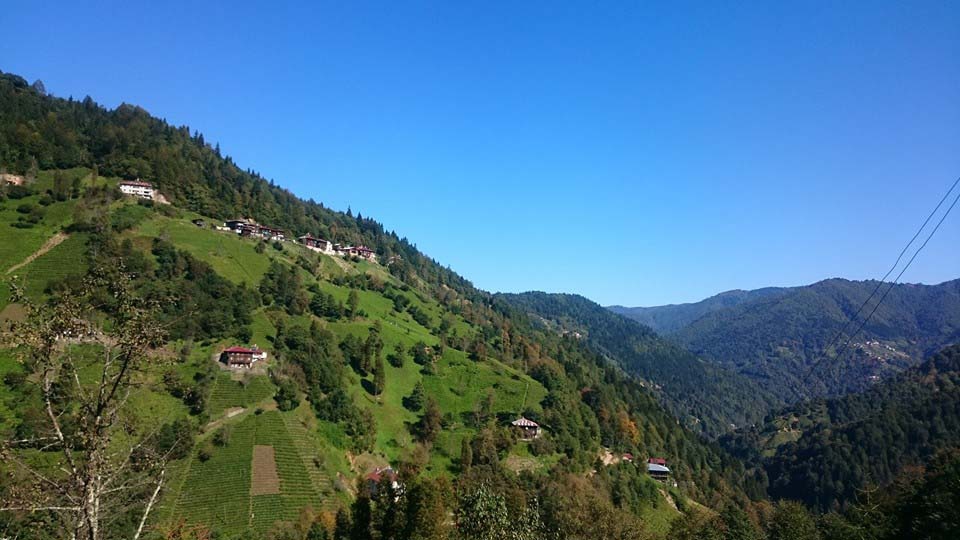 Of Gürpınar Köyü Resimleri 28