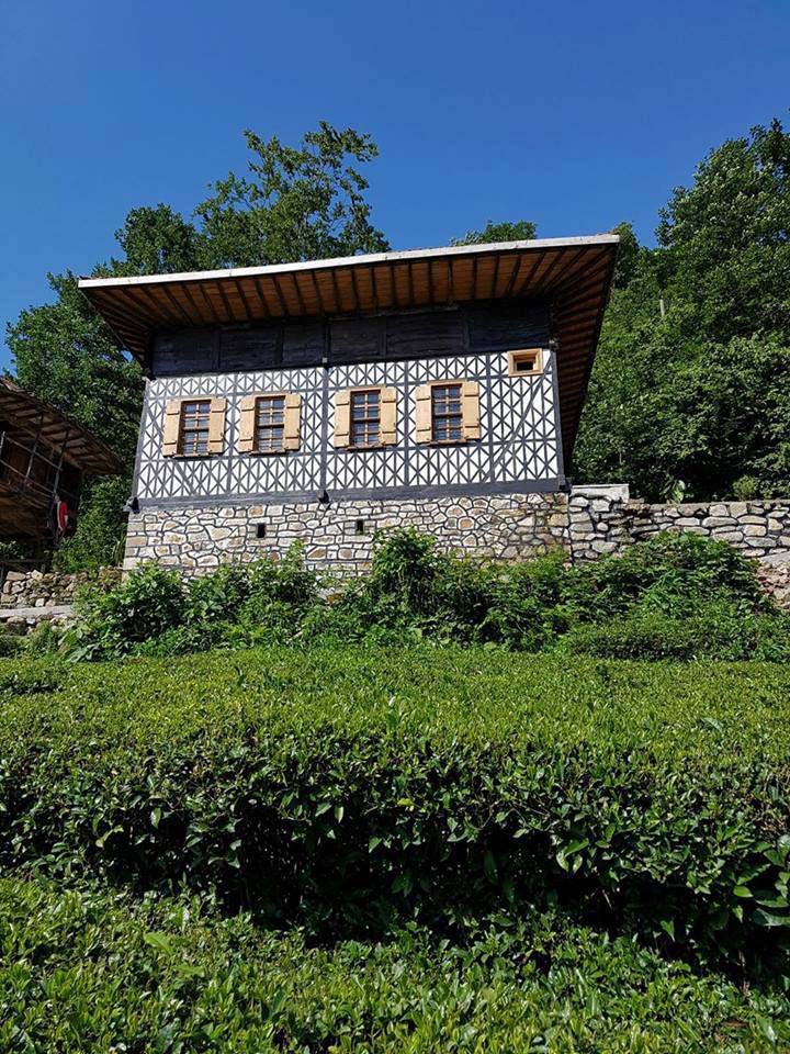 Of Gürpınar Köyü Resimleri 35