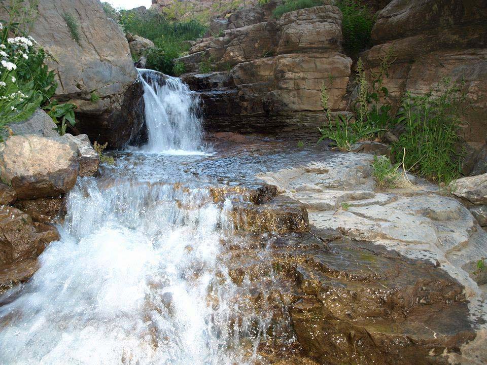 Of Gürpınar Köyü Resimleri 36