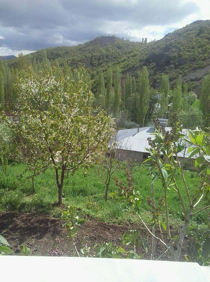 Of Gürpınar Köyü Resimleri 37