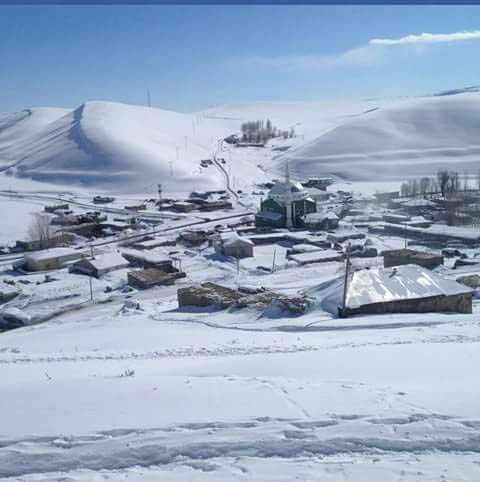 Of Gürpınar Köyü Resimleri 6