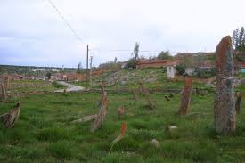 Han Hankaraağaç Köyü Resimleri 1