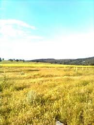 Han Hankaraağaç Köyü Resimleri 3