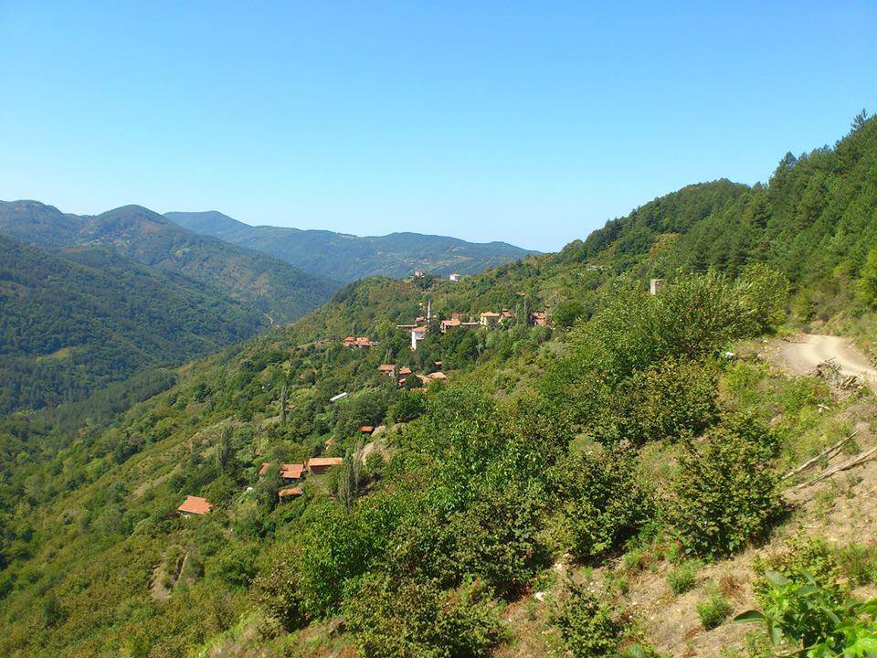 Doğanyurt Boğazcık Köyü Resimleri 1