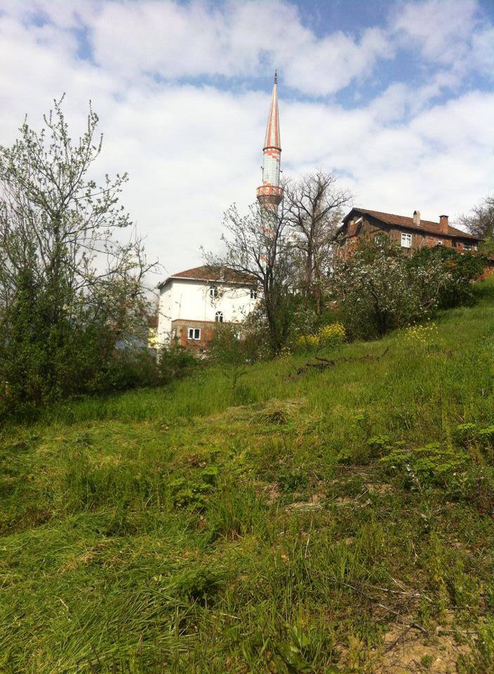 Doğanyurt Boğazcık Köyü Resimleri 2