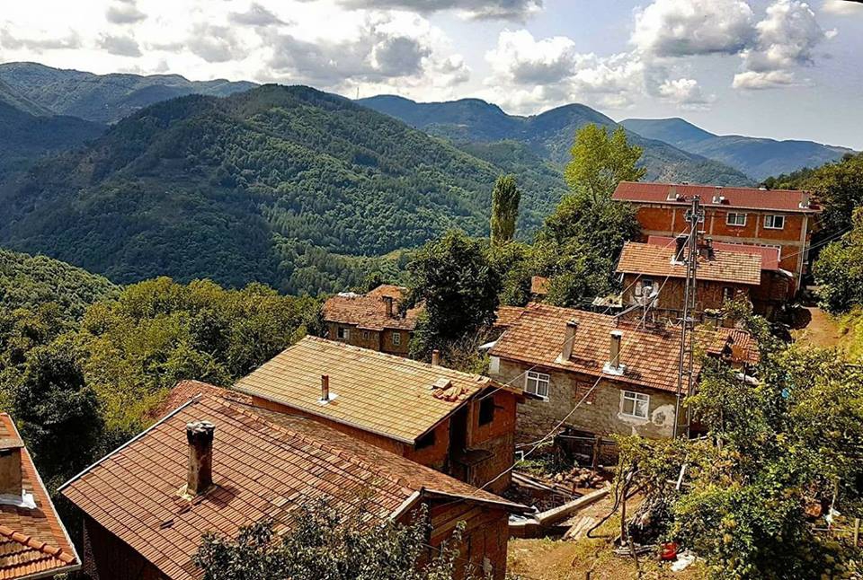 Doğanyurt Boğazcık Köyü Resimleri 4