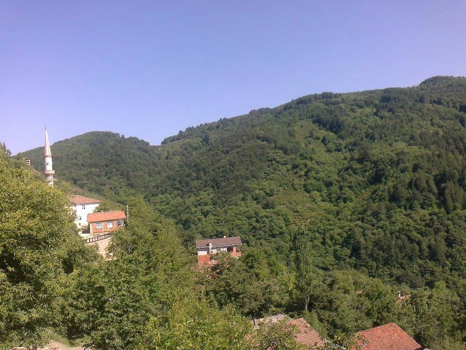 Doğanyurt Boğazcık Köyü Resimleri 5