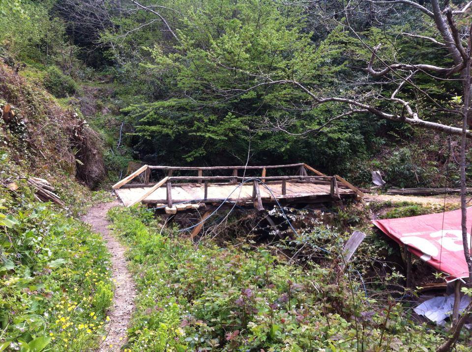 Doğanyurt Boğazcık Köyü Resimleri 6