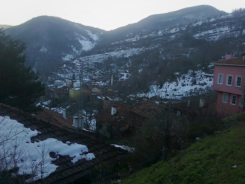 Doğanyurt Çakırlı Köyü Resimleri 12