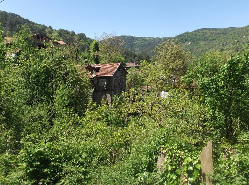 Doğanyurt Çakırlı Köyü Resimleri 7