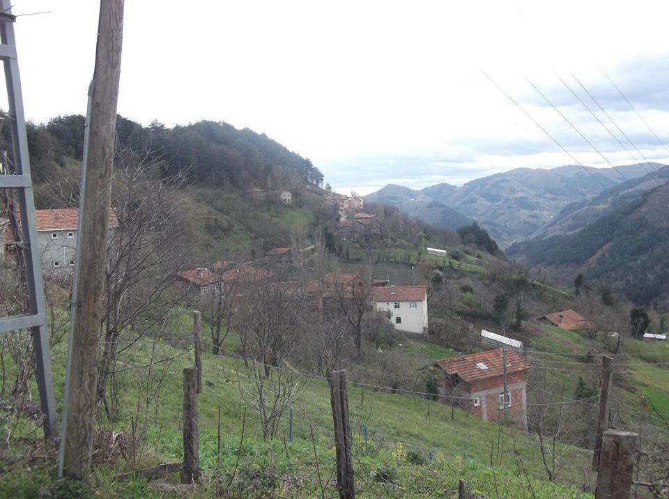 Doğanyurt Çakırlı Köyü Resimleri 9