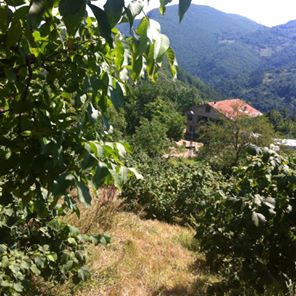 Doğanyurt Danışman Köyü Resimleri 3