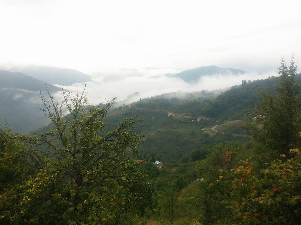 Doğanyurt Danışman Köyü Resimleri 4