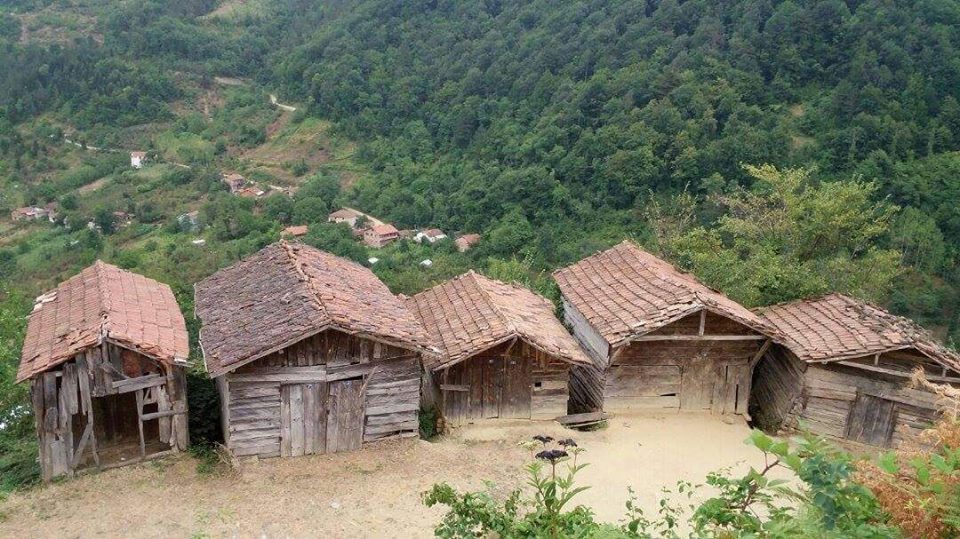 Doğanyurt Danışman Köyü Resimleri 7