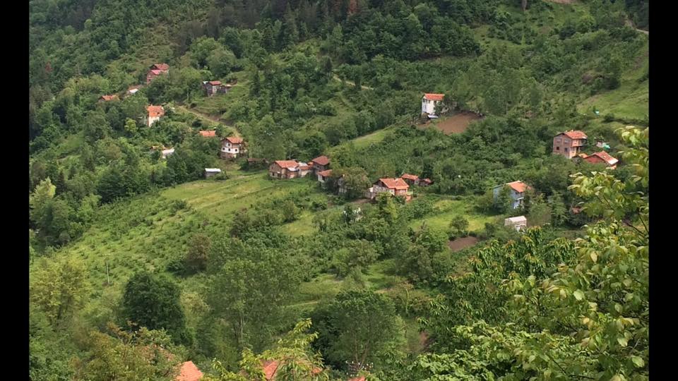 Doğanyurt Demirci Köyü Resimleri 3