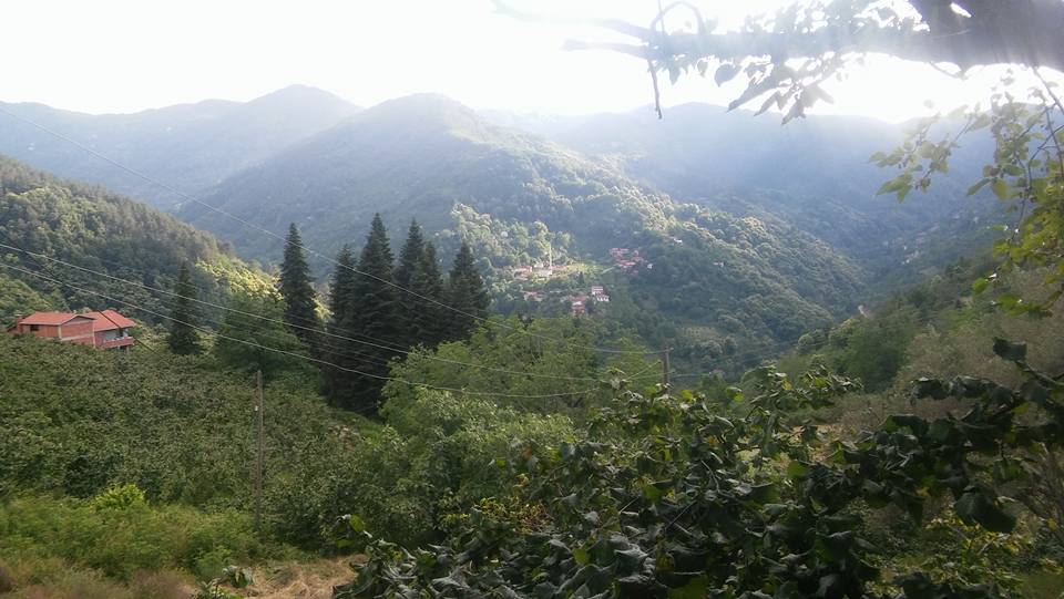 Doğanyurt Demirci Köyü Resimleri 6