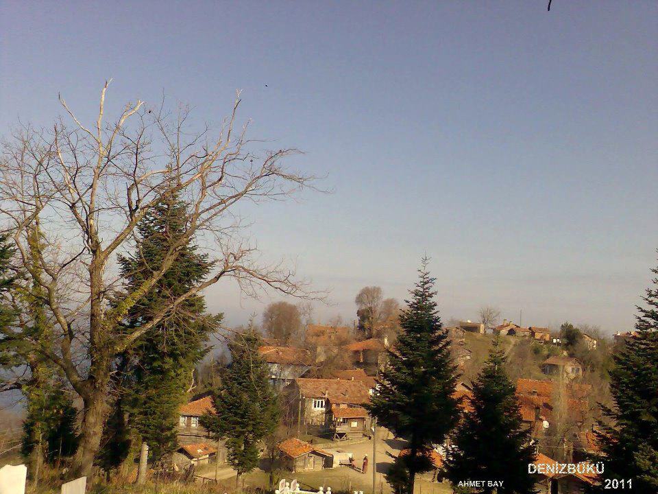 Doğanyurt Denizbükü Köyü Resimleri 7