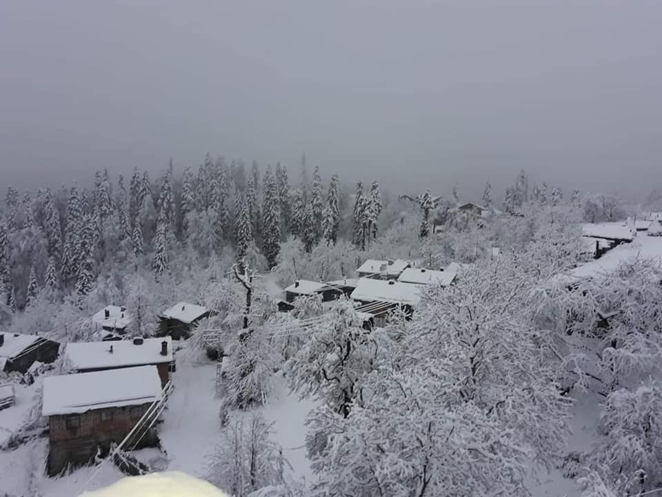 Doğanyurt Denizgörülen Köyü Resimleri 12