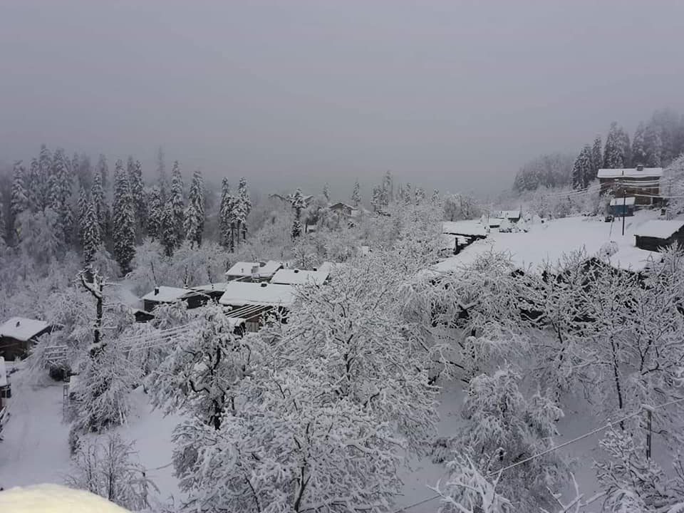 Doğanyurt Denizgörülen Köyü Resimleri 2