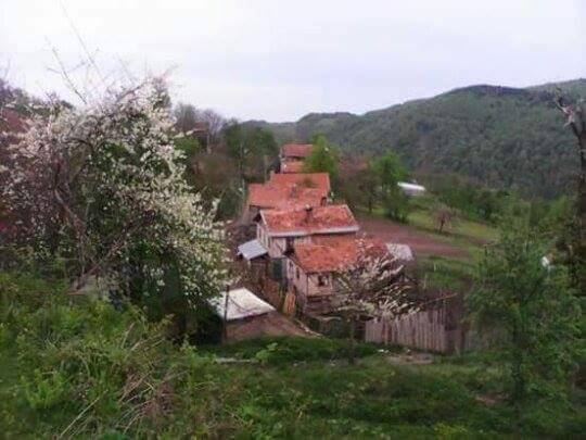 Doğanyurt Denizgörülen Köyü Resimleri 4