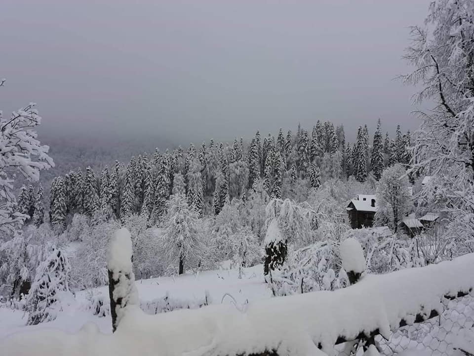 Doğanyurt Denizgörülen Köyü Resimleri 5