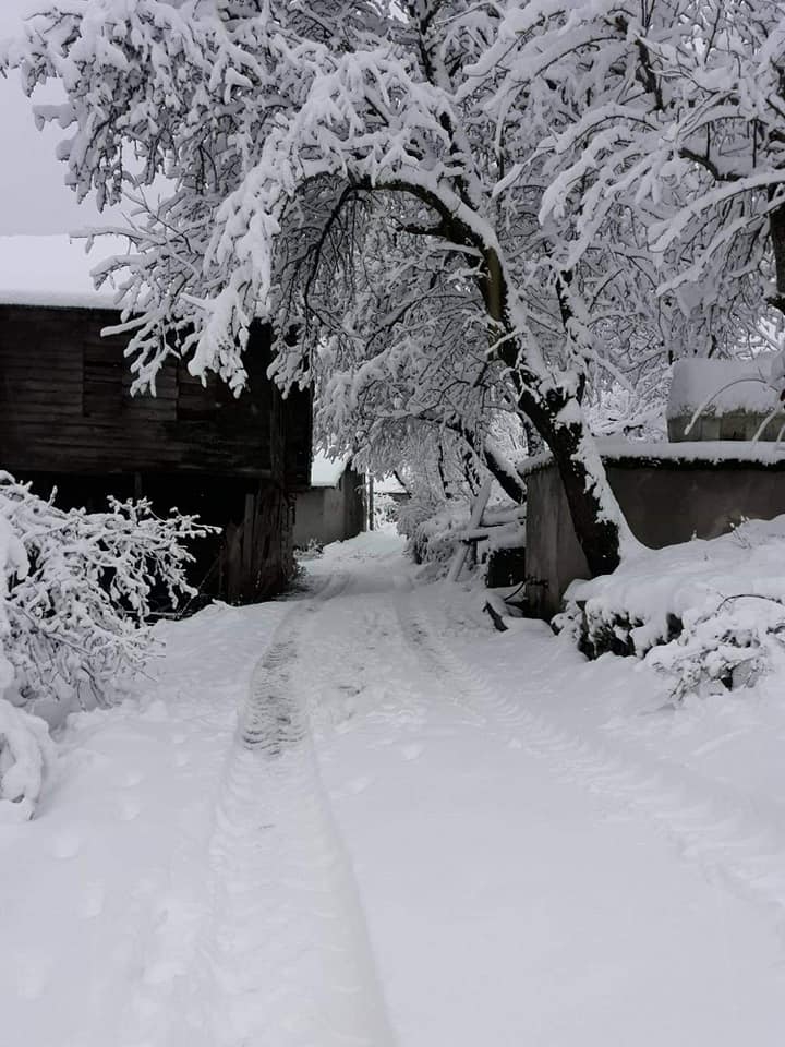 Doğanyurt Denizgörülen Köyü Resimleri 9