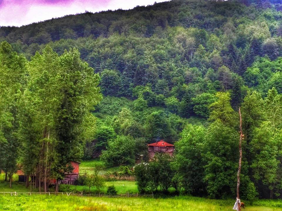 Doğanyurt Düz Köyü Resimleri 1