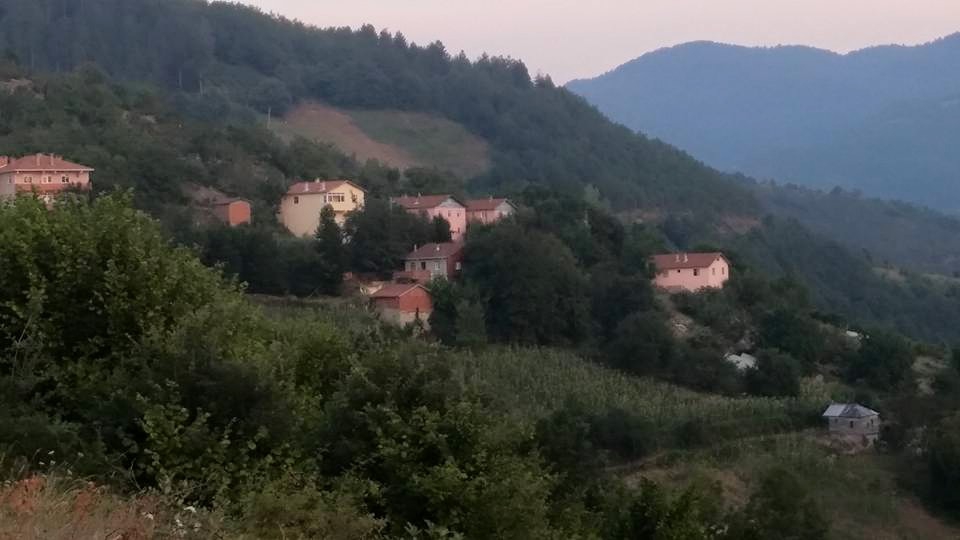 Doğanyurt Düz Köyü Resimleri 11