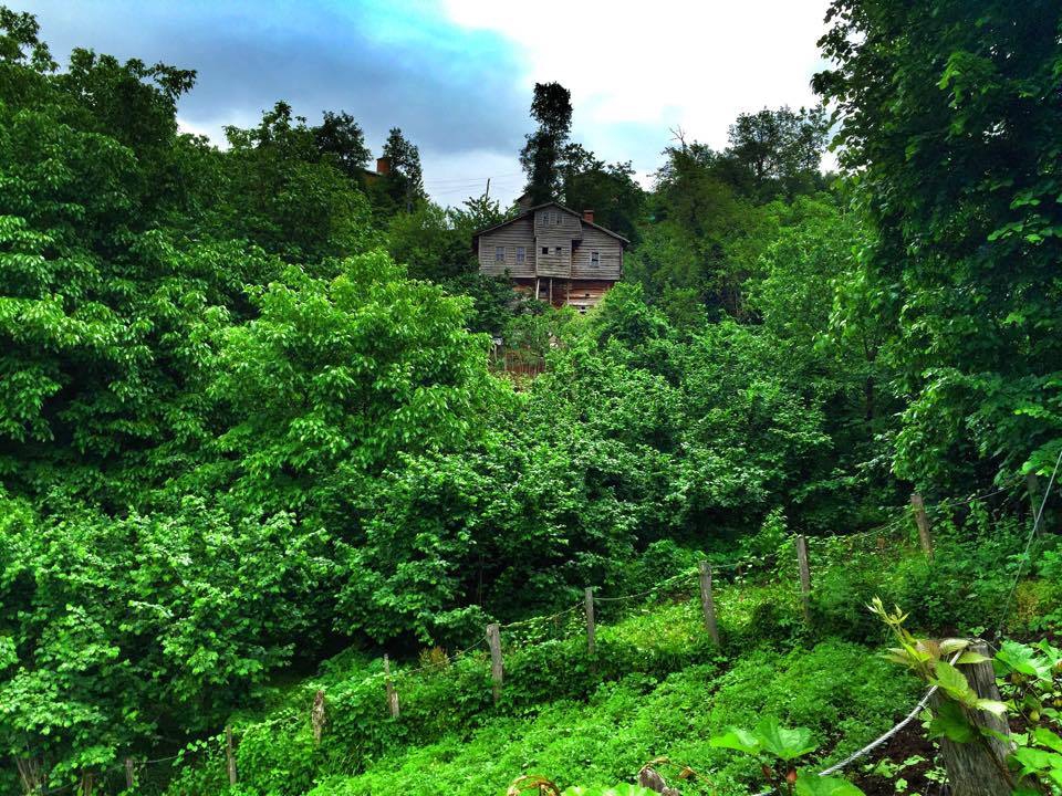 Doğanyurt Düz Köyü Resimleri 12