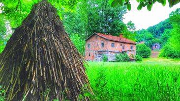 Doğanyurt Düz Köyü Resimleri 3