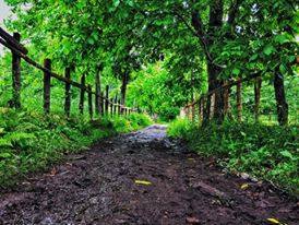 Doğanyurt Düz Köyü Resimleri 5