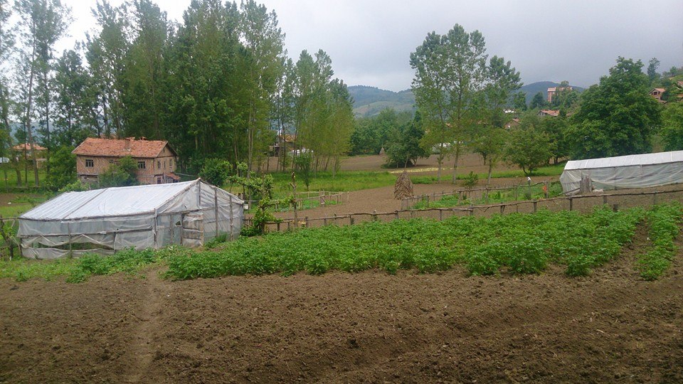 Doğanyurt Düz Köyü Resimleri 6