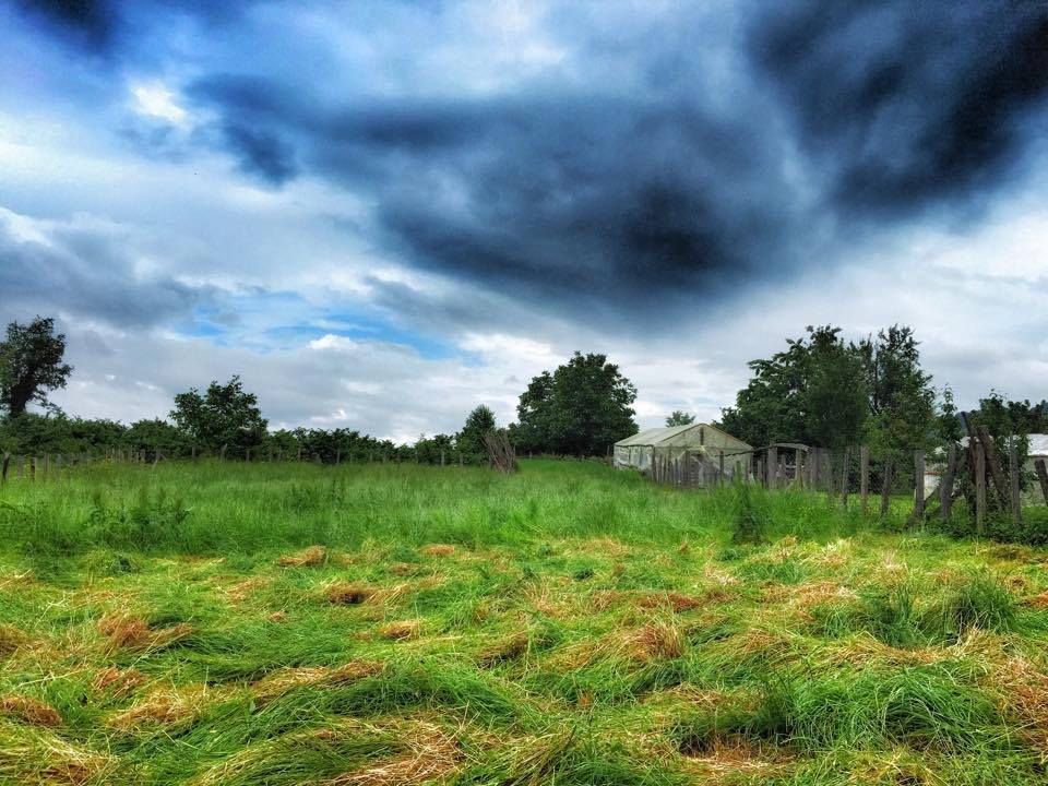 Doğanyurt Düz Köyü Resimleri 7