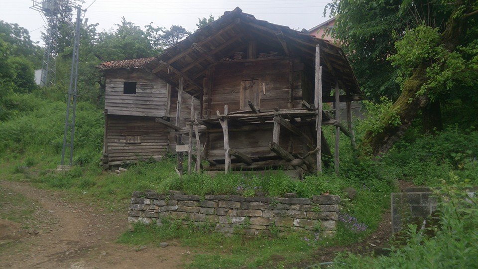 Doğanyurt Düz Köyü Resimleri 8