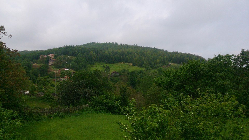 Doğanyurt Düz Köyü Resimleri 9