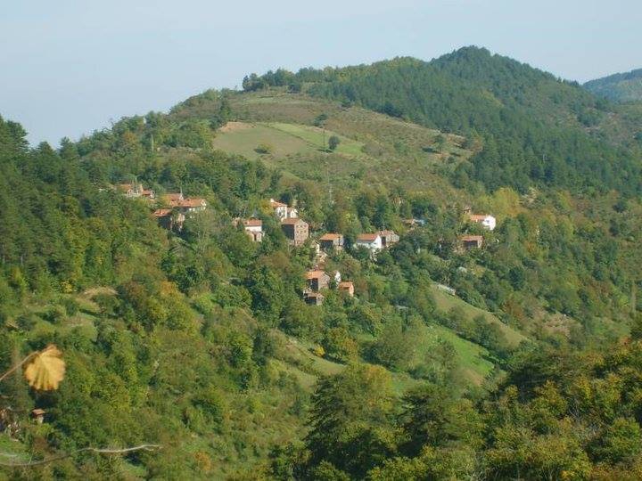 Doğanyurt Düzağaç Köyü Resimleri 1