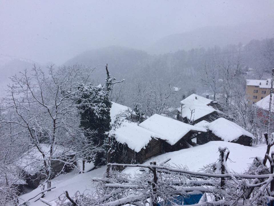 Doğanyurt Düzağaç Köyü Resimleri 10