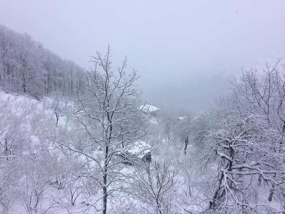 Doğanyurt Düzağaç Köyü Resimleri 12