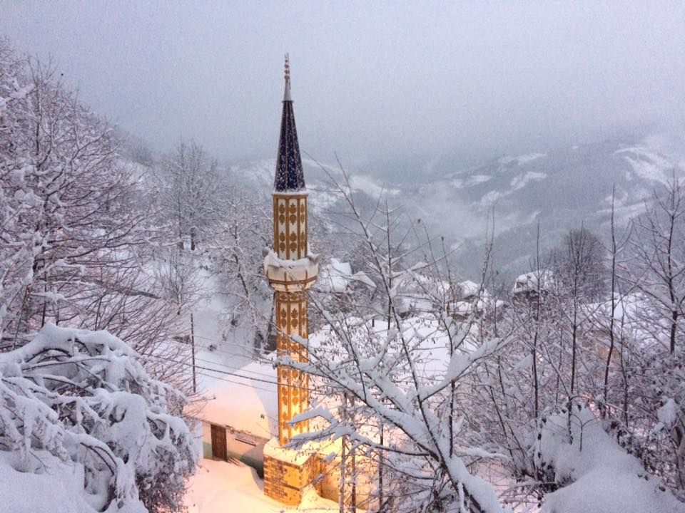 Doğanyurt Düzağaç Köyü Resimleri 2