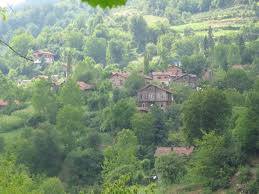 Doğanyurt Düzağaç Köyü Resimleri 6