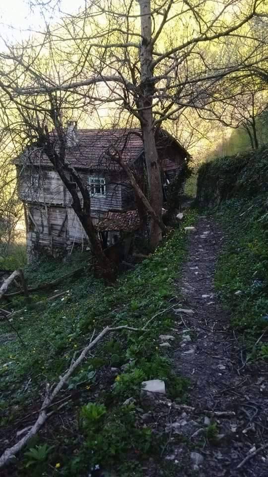 Doğanyurt Düzağaç Köyü Resimleri 9