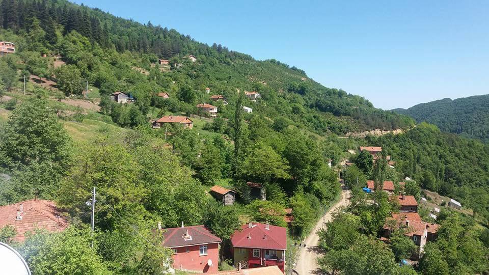 Doğanyurt Gökçe Köyü Resimleri 1