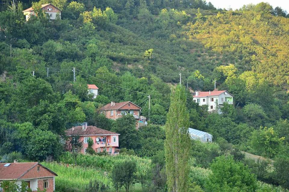 Doğanyurt Gökçe Köyü Resimleri 3
