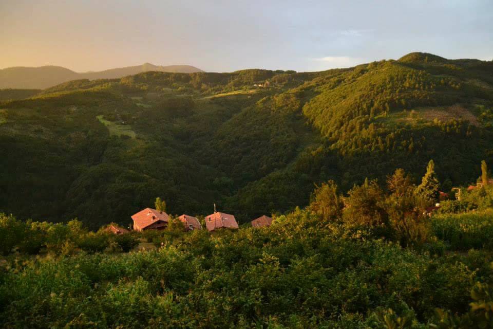 Doğanyurt Gökçe Köyü Resimleri 4