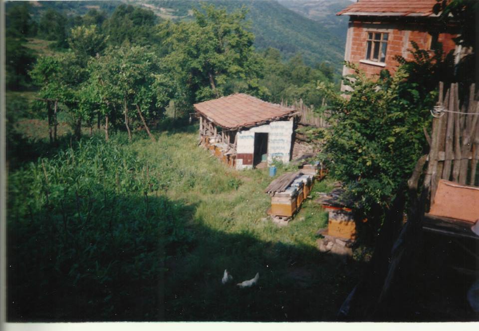 Doğanyurt Gözalan Köyü Resimleri 1