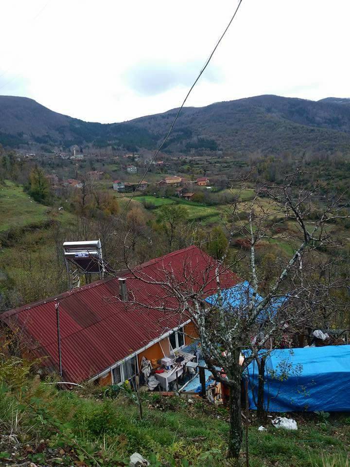 Doğanyurt Gözalan Köyü Resimleri 2