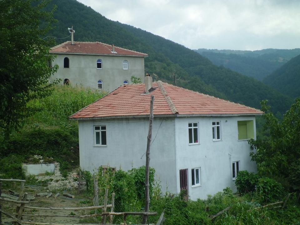 Doğanyurt Gözalan Köyü Resimleri 9