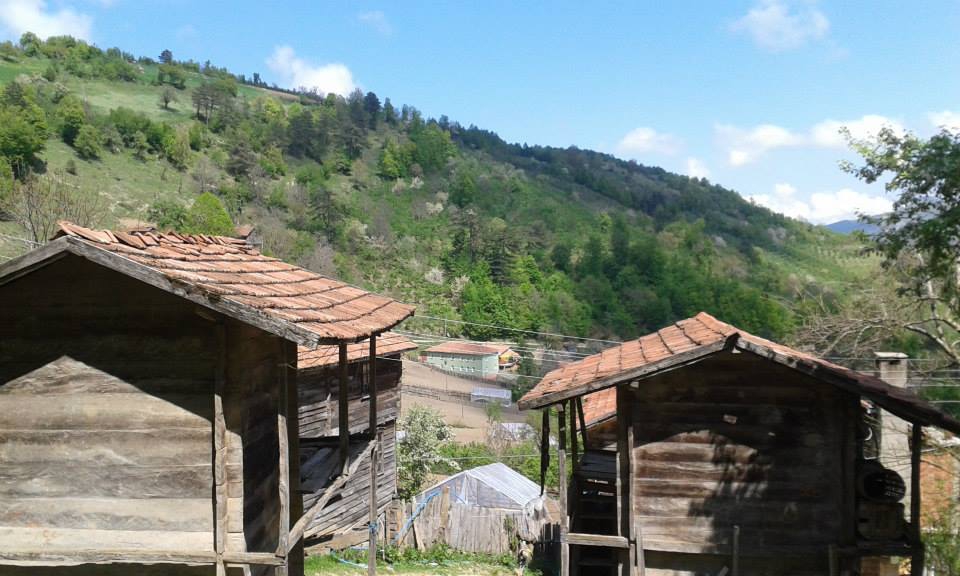 Doğanyurt Şirin Köyü Resimleri 10