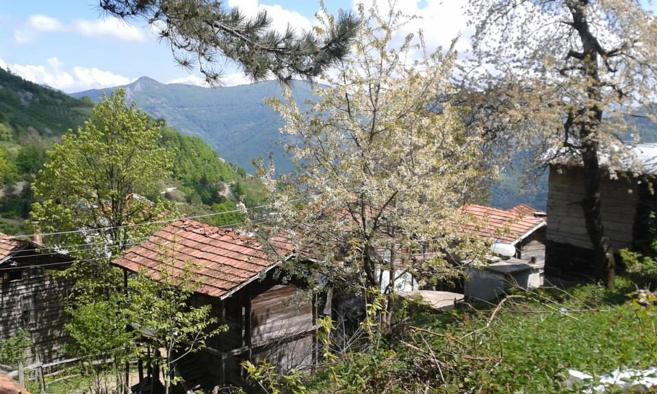 Doğanyurt Şirin Köyü Resimleri 11