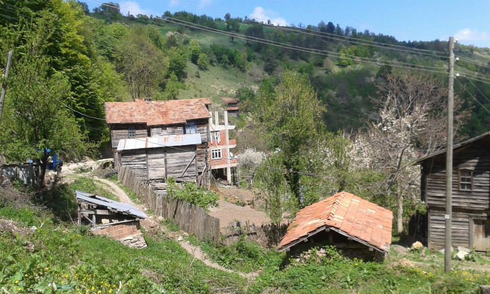 Doğanyurt Şirin Köyü Resimleri 2